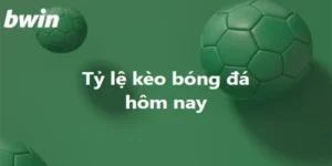 Mẹo cá cược hiệu quả tại copa america